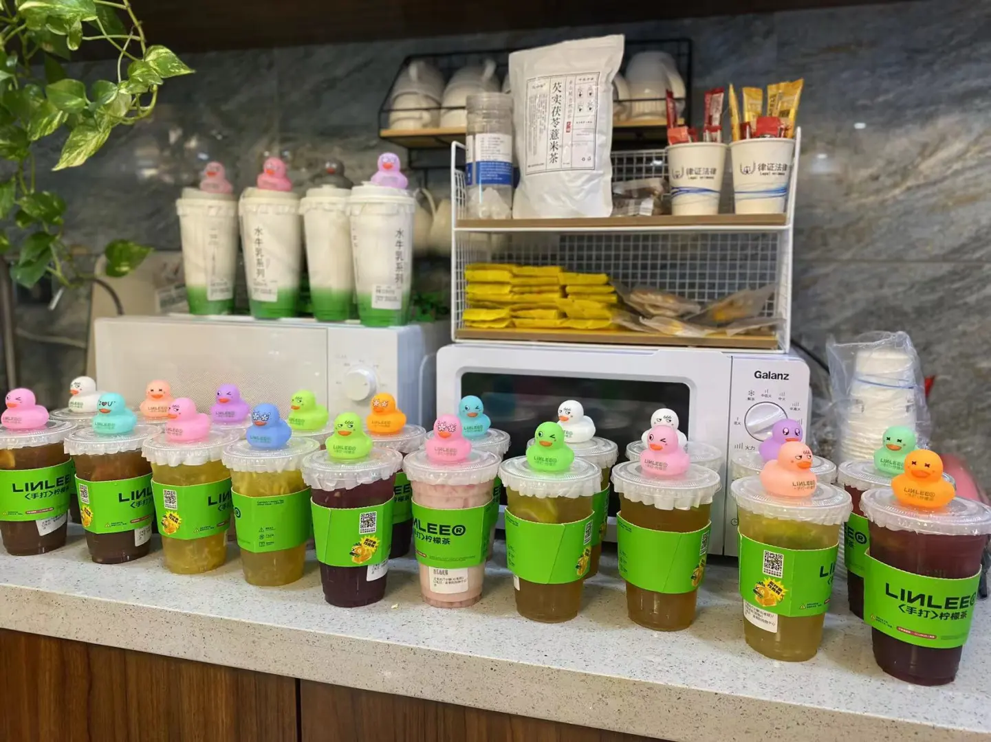 廊坊神仙公司来啦～～～