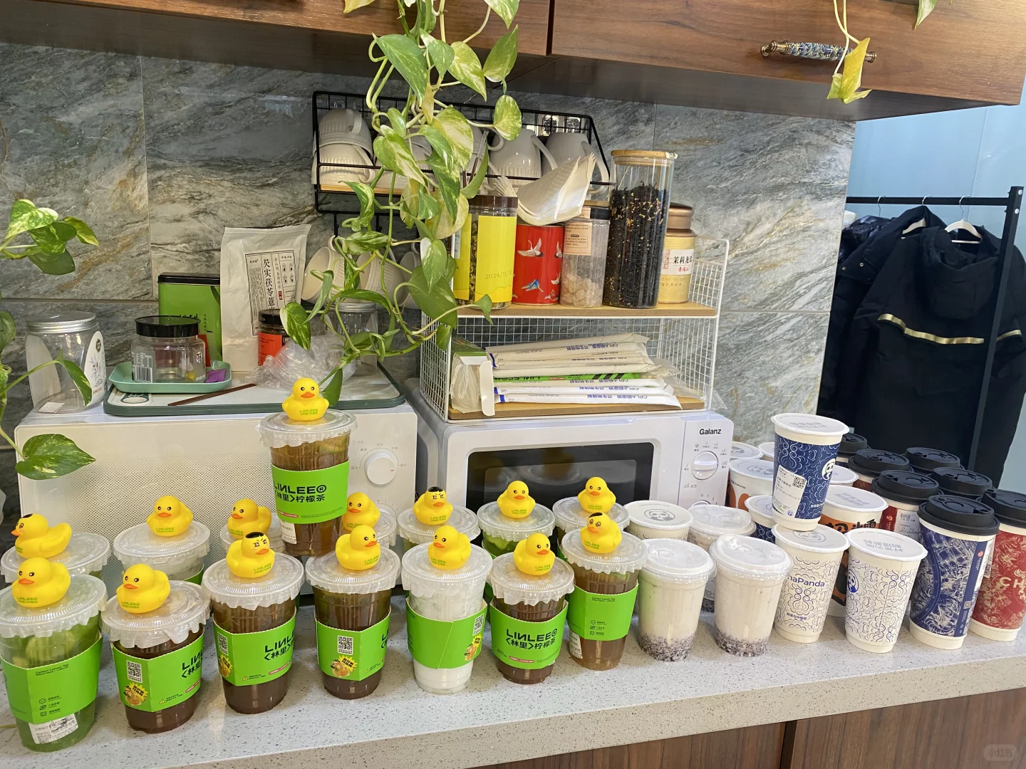 廊坊神仙公司来啦～～～