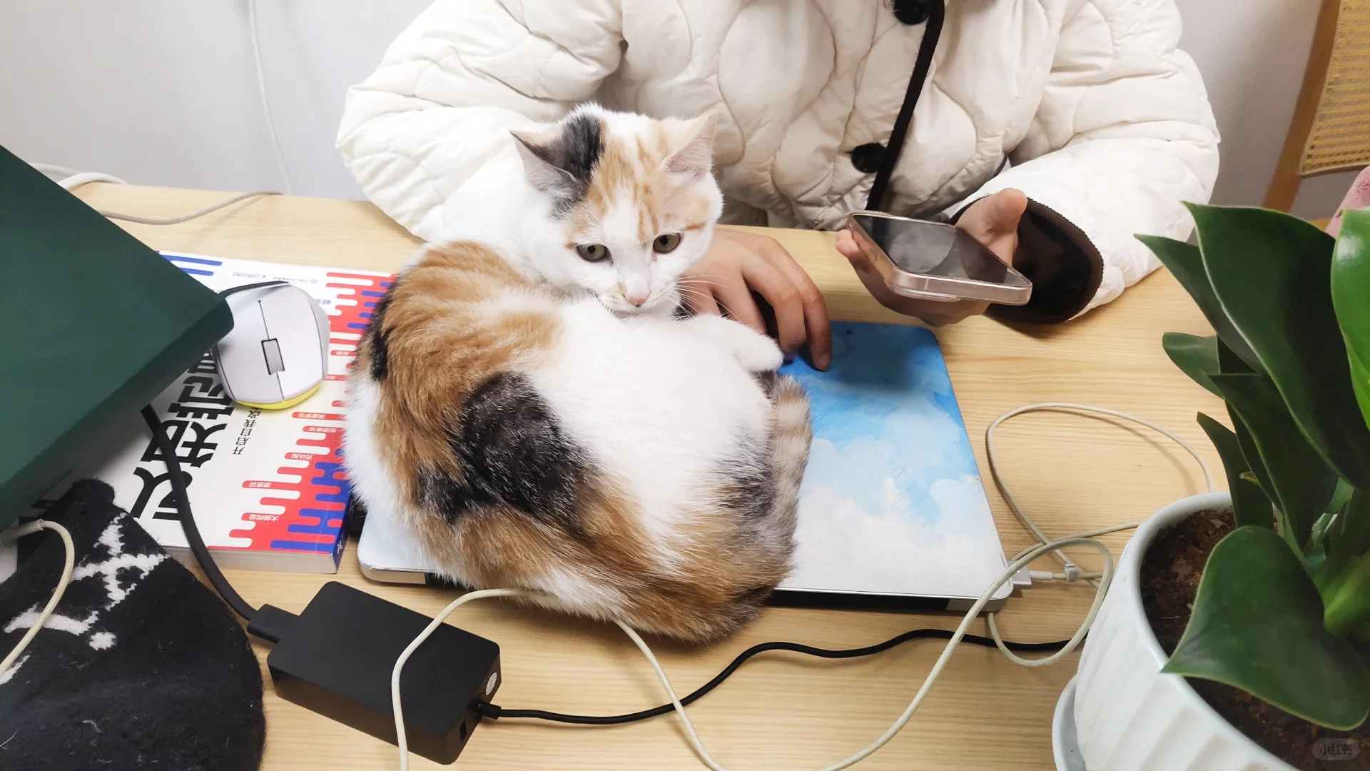 初创业公司来个守家文员！我们新增岗位了