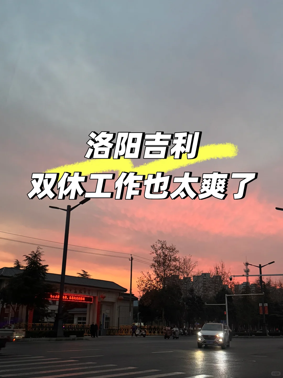 双休➕不用坐班 我能干到退休