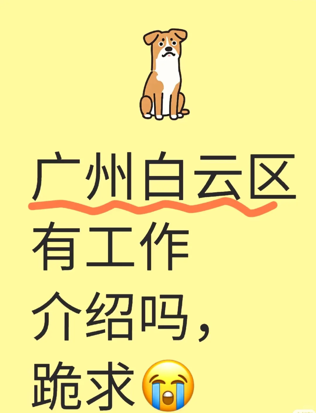 广州白云区有没有介绍工作啊！我需要工作