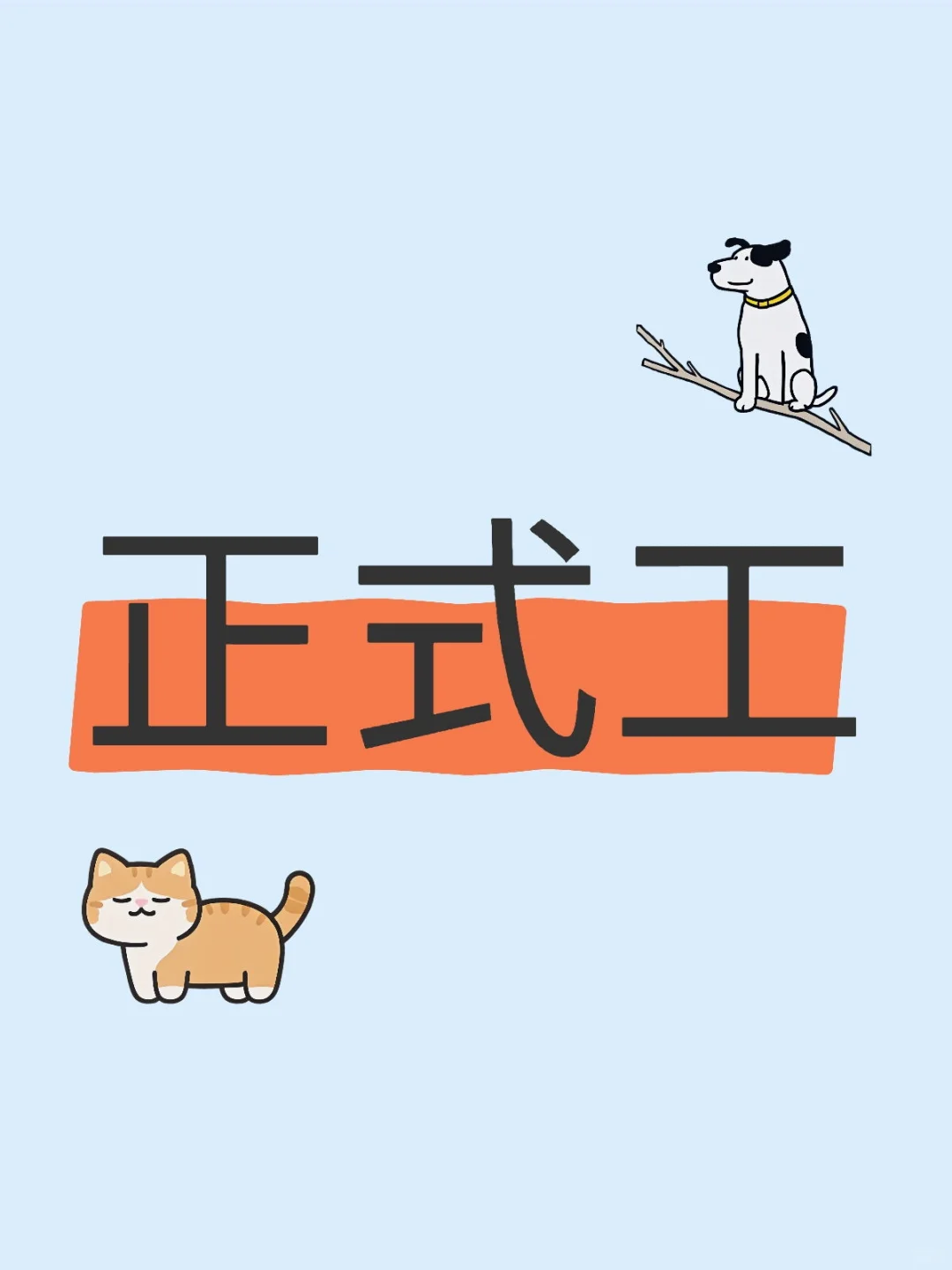 长白班正式工，有社保