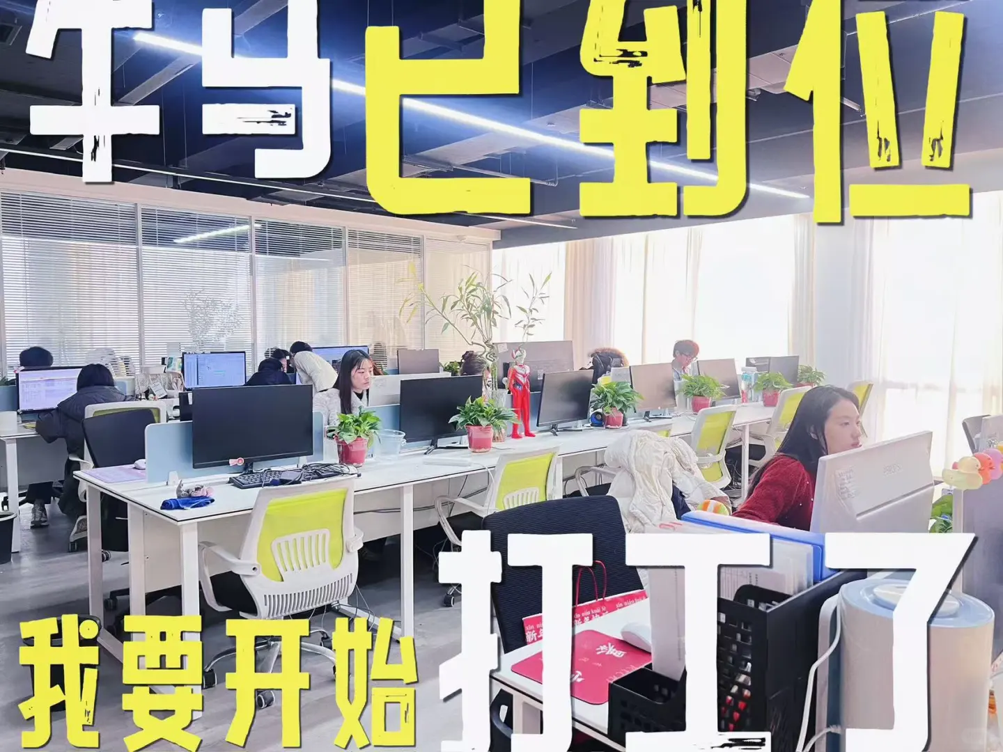 招聘 氛围好 环境好😍