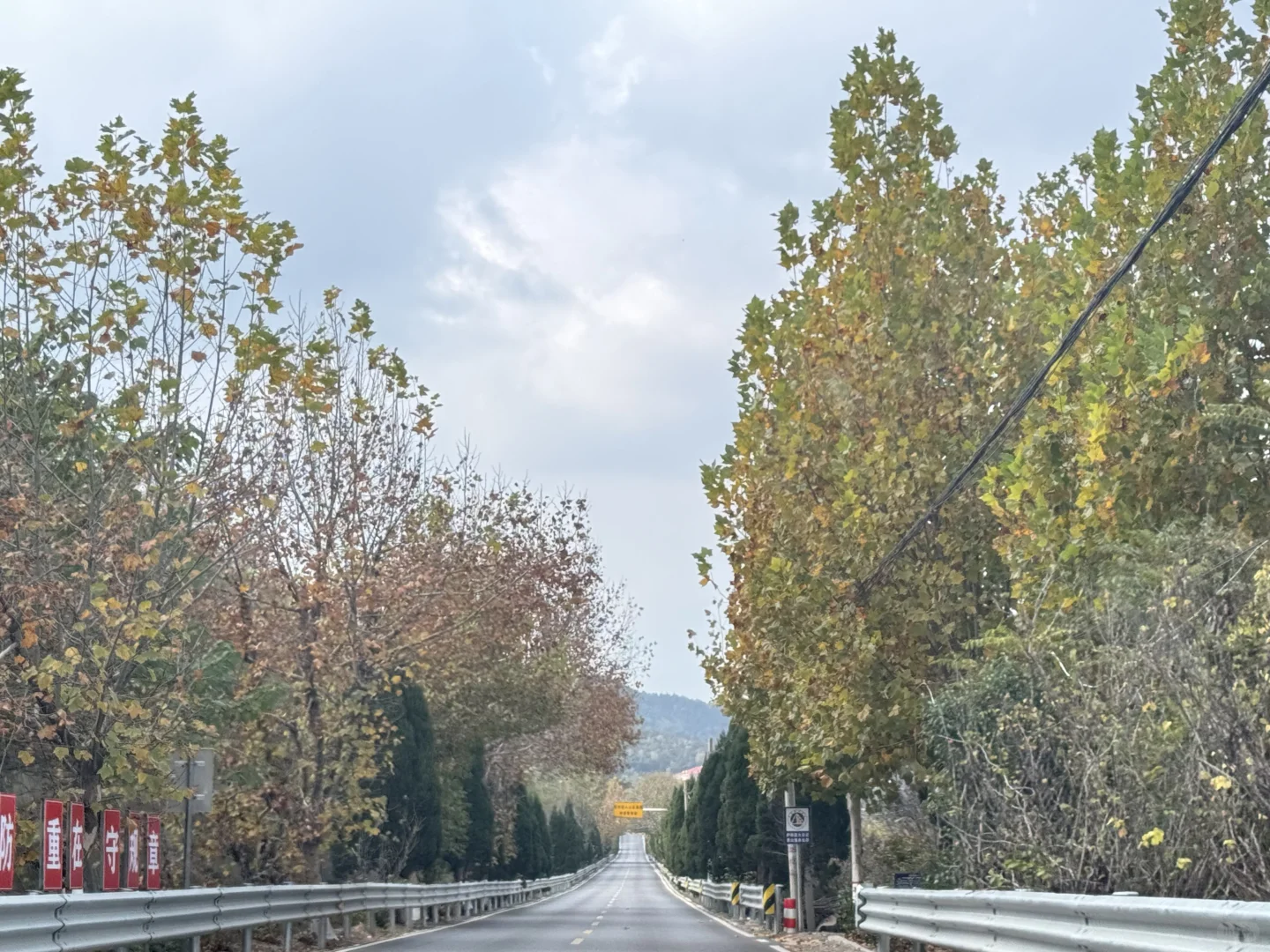 黄岛有没有看机会的小伙伴呀，早九晚六，双休