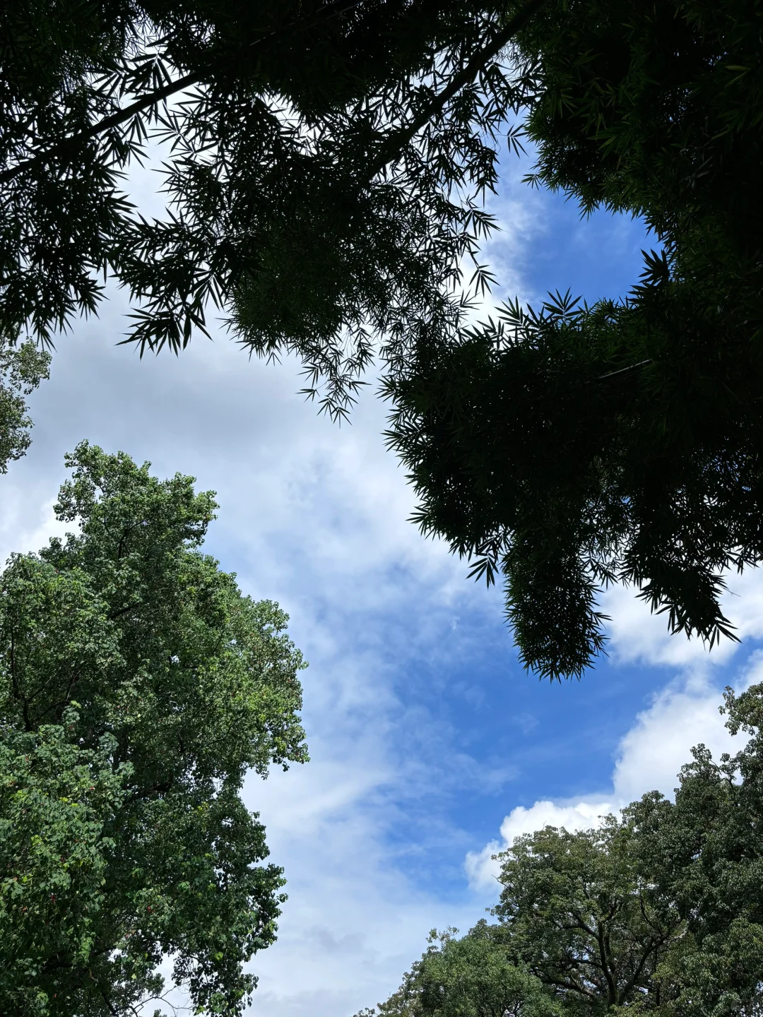 有人找工作吗 看这里