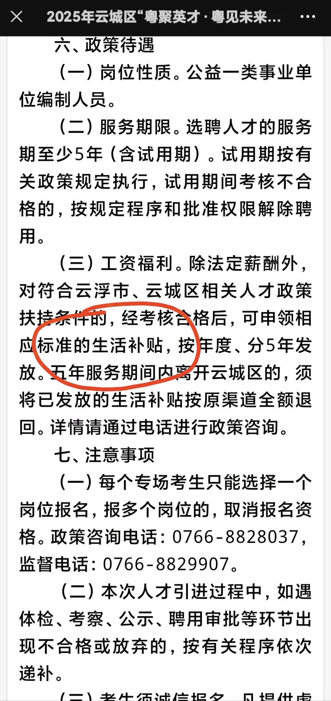 云浮云城区教师招聘