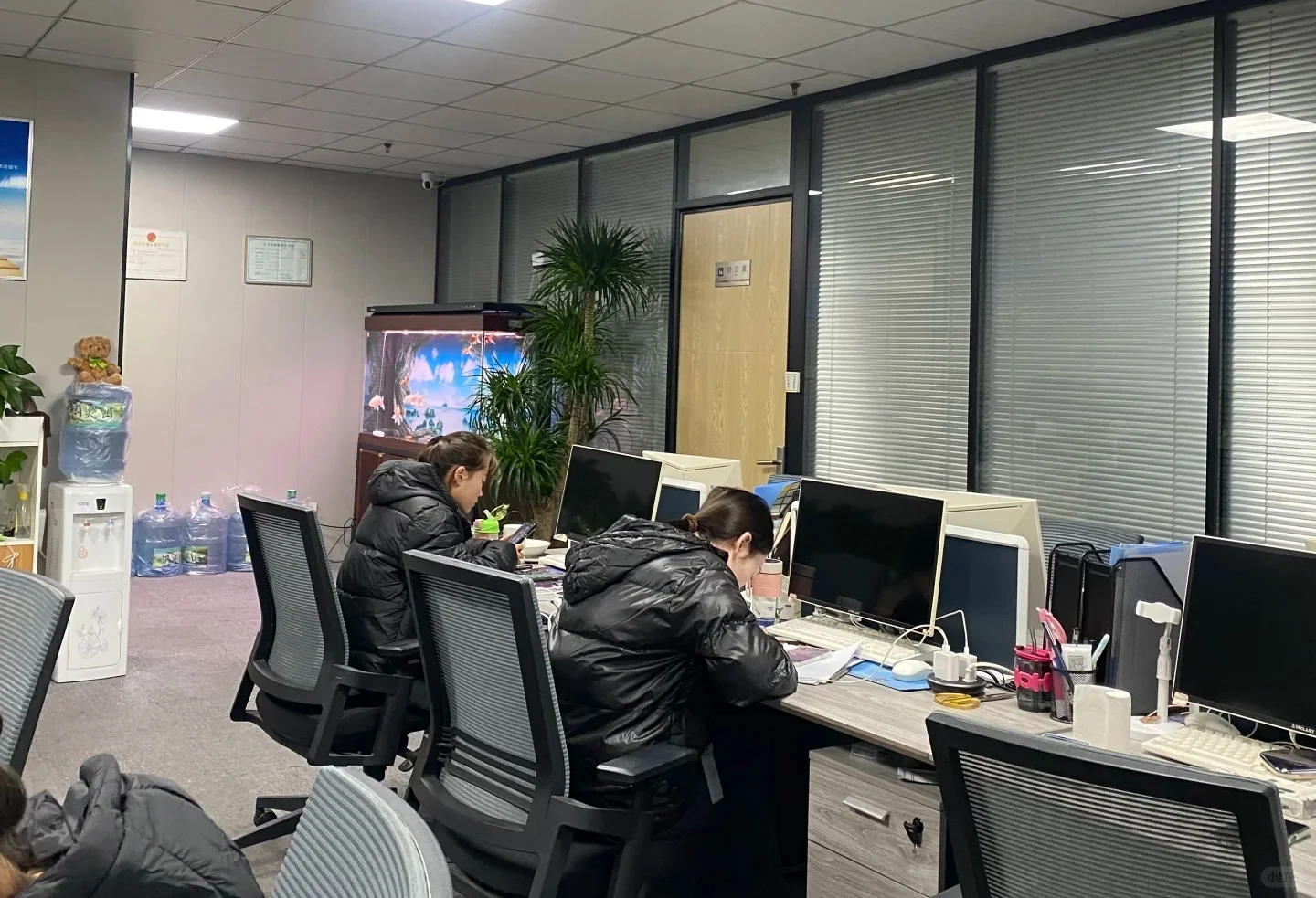 没经验也能坐办公室，双休月5300的文职