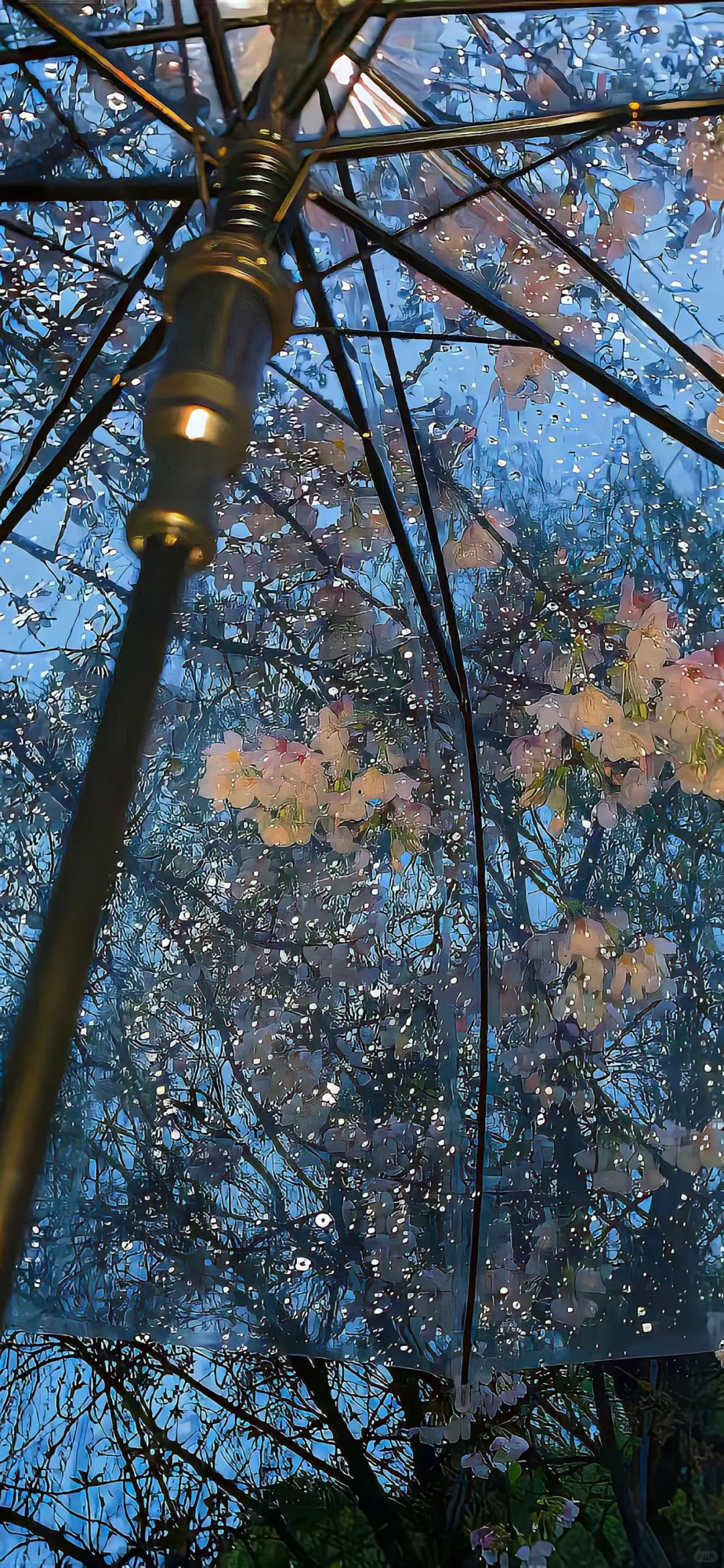 莆田其他区不收了...