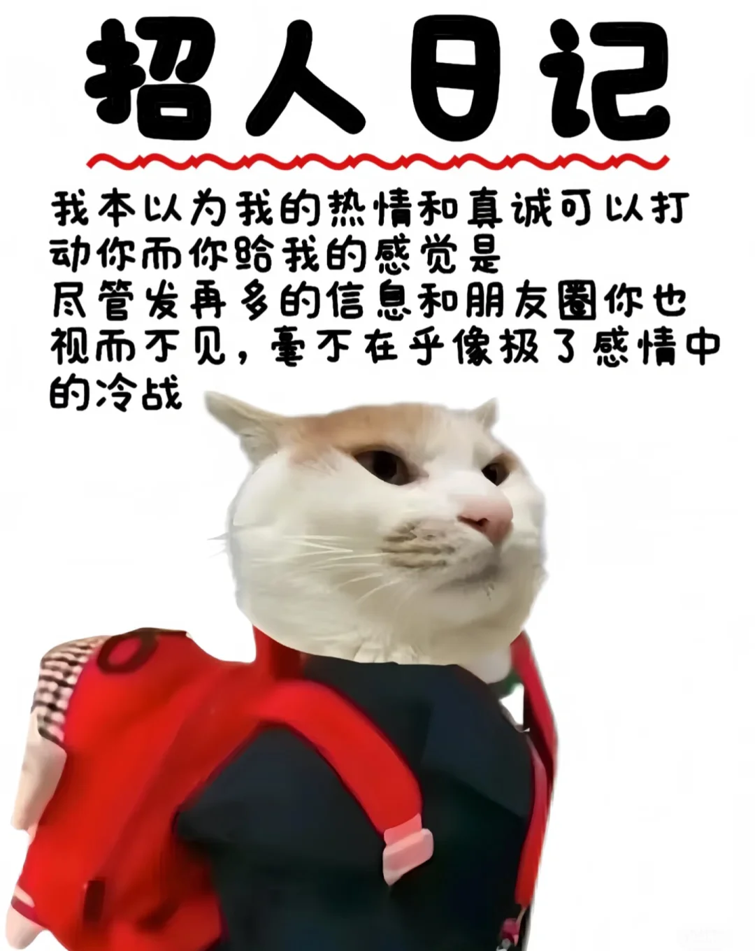 看这篇！找工作💼