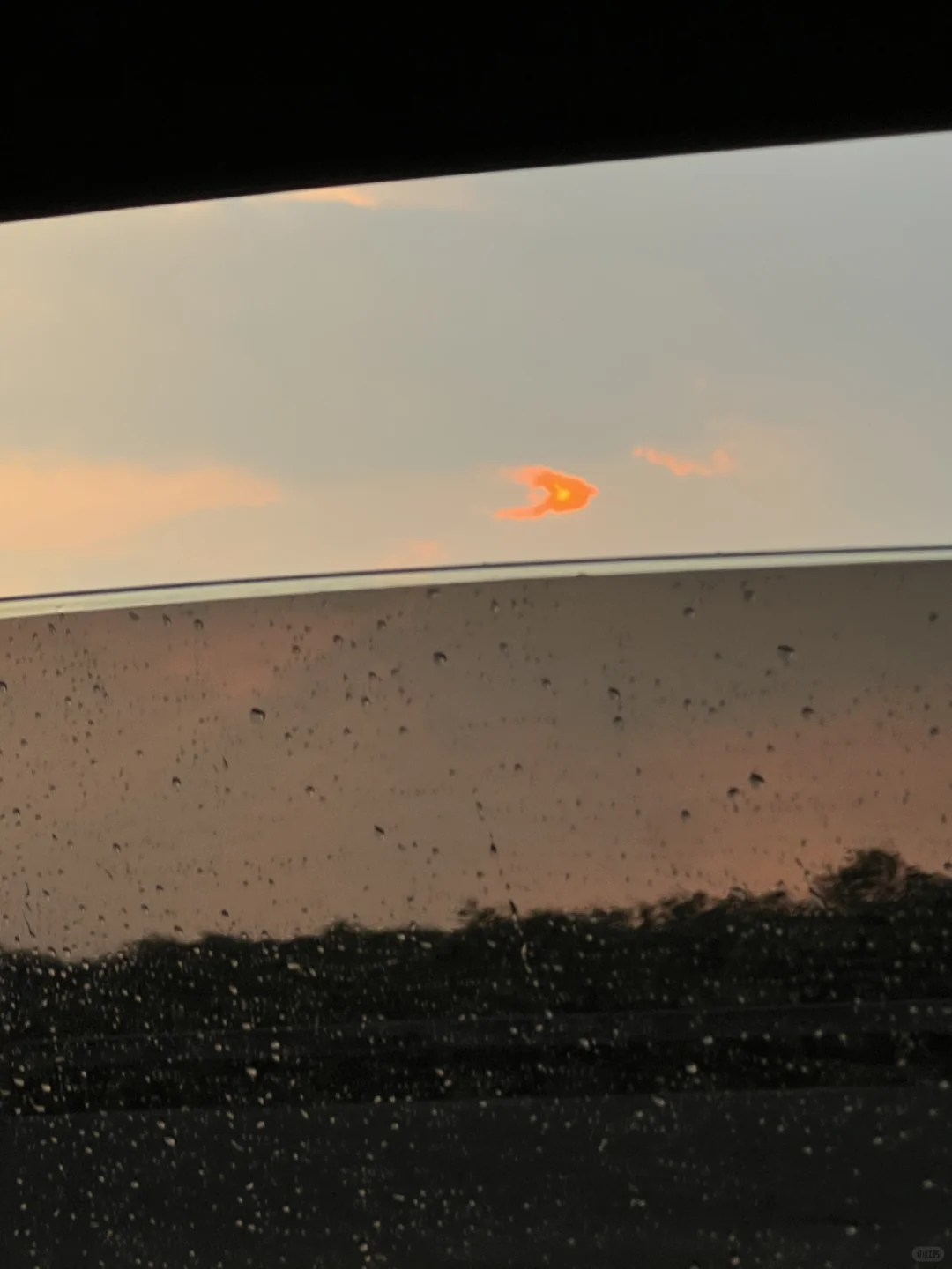 每天排除一个岗位：咨询