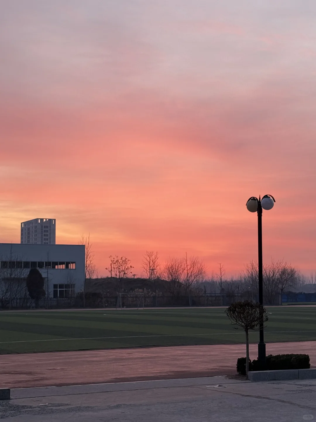 3月1号肃宁县育英中学安排面试啦！