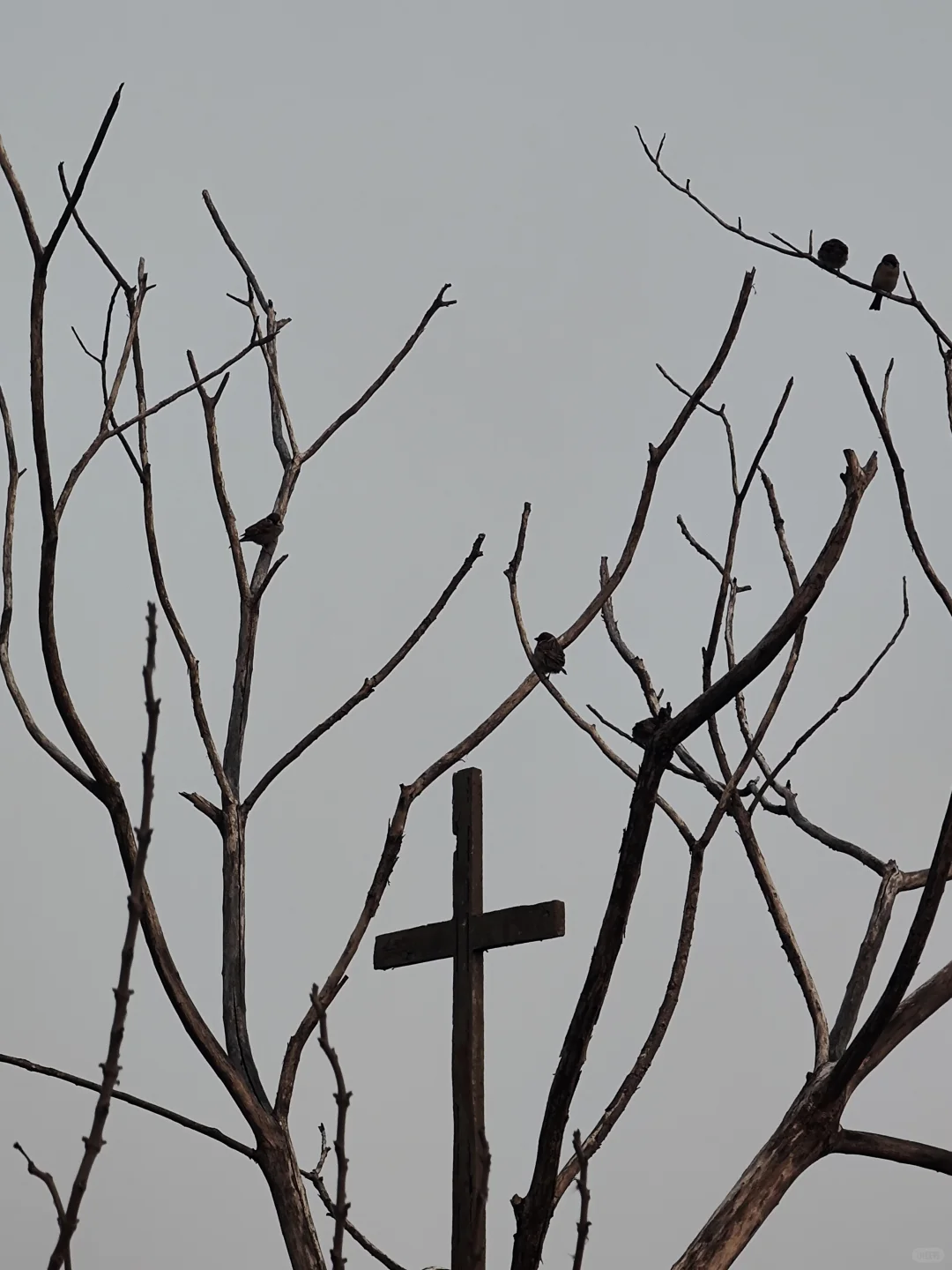 曾受宋美龄资助，也许它是苏州唯一废弃教堂