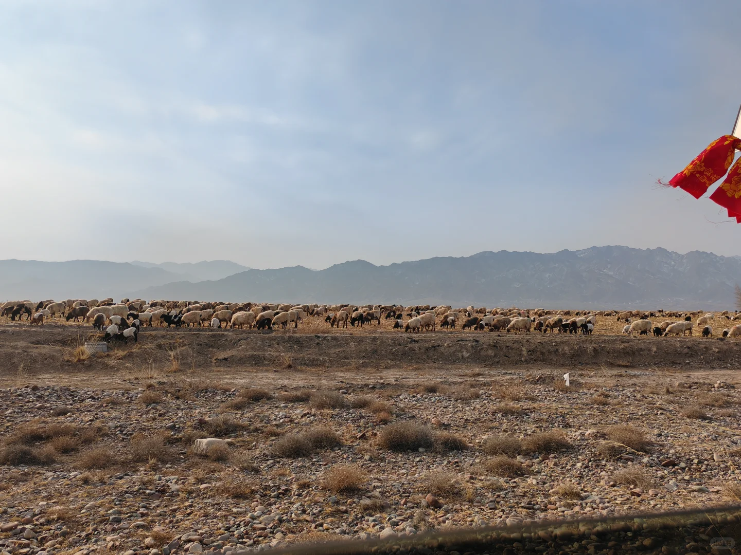 新疆省考莎车县和新源县选哪个呀？