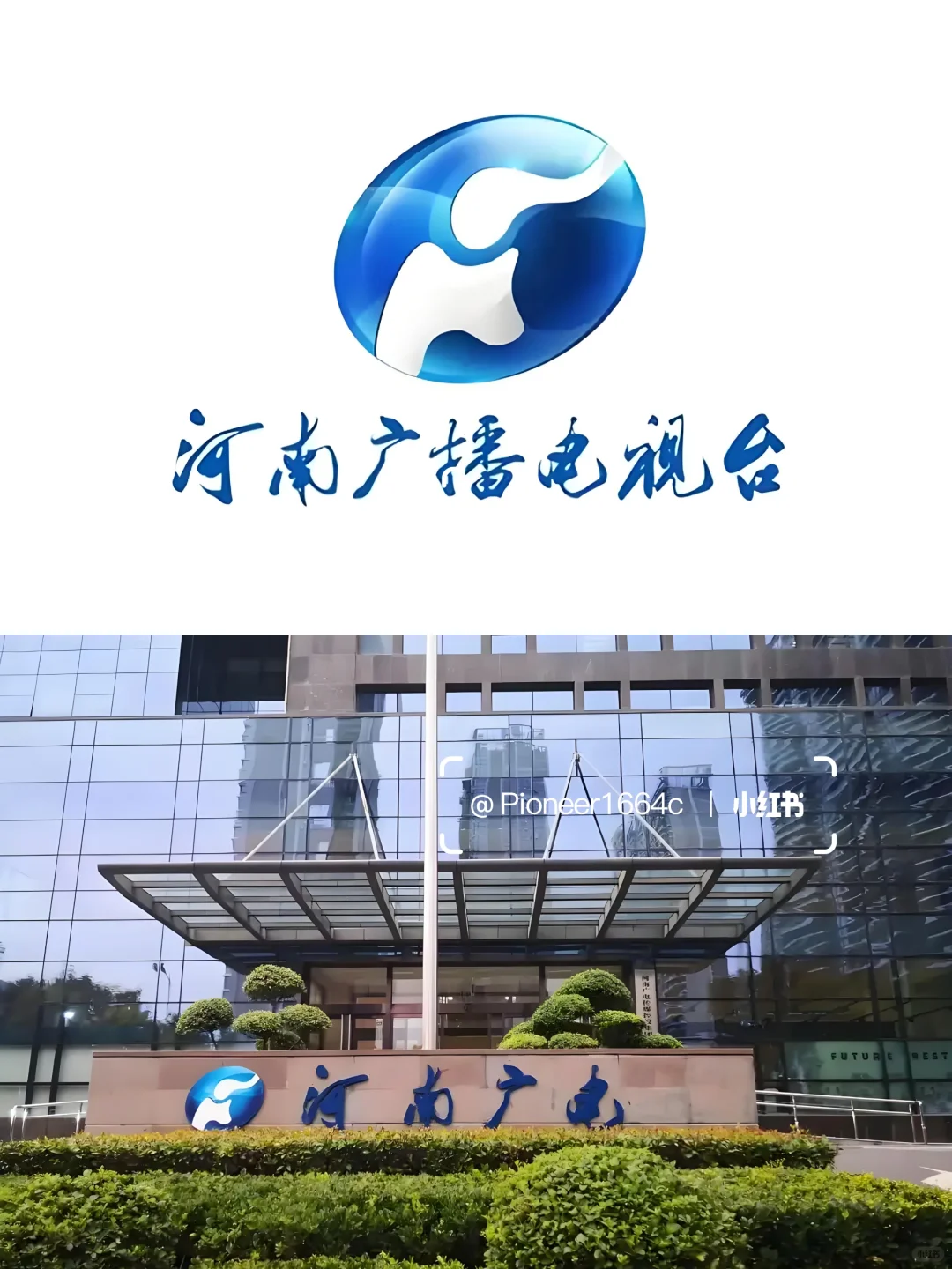 郑州电视台💼招行政文员