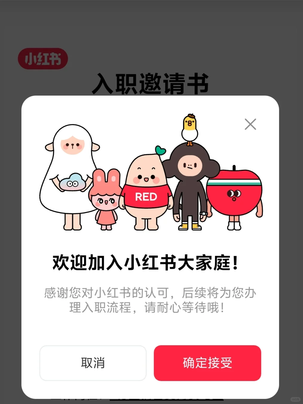 小红书实习plog｜有内推