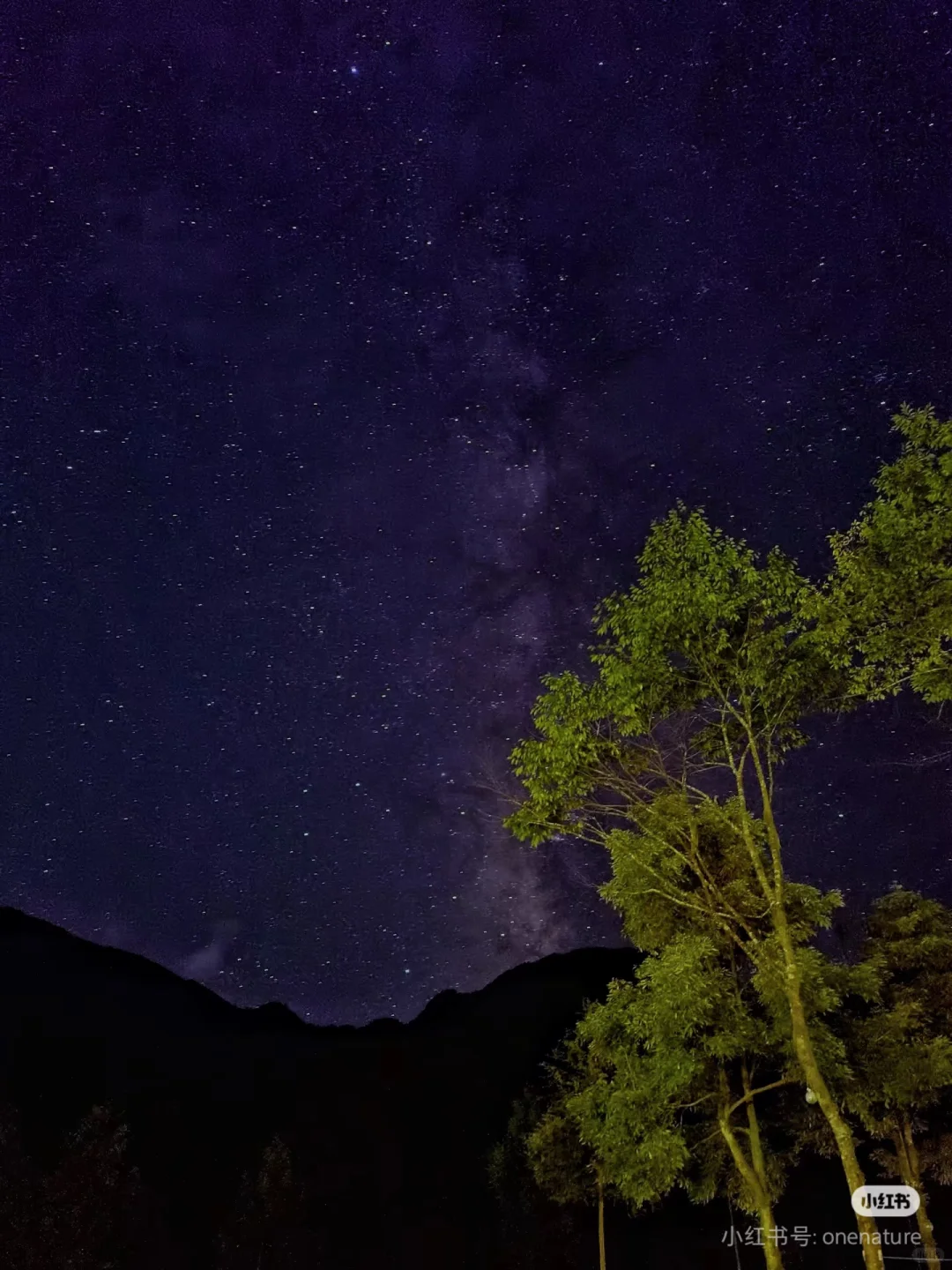 营地实习管家/义工招聘