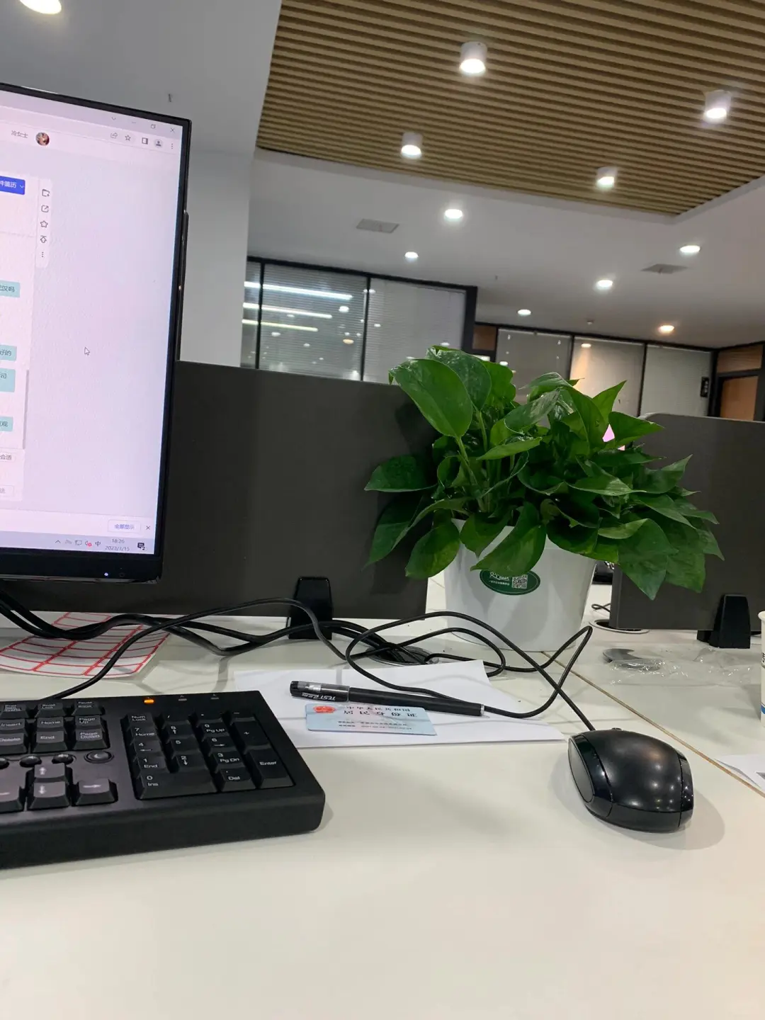 春季招聘季 春招开启梦想启航🌿🌿🌿