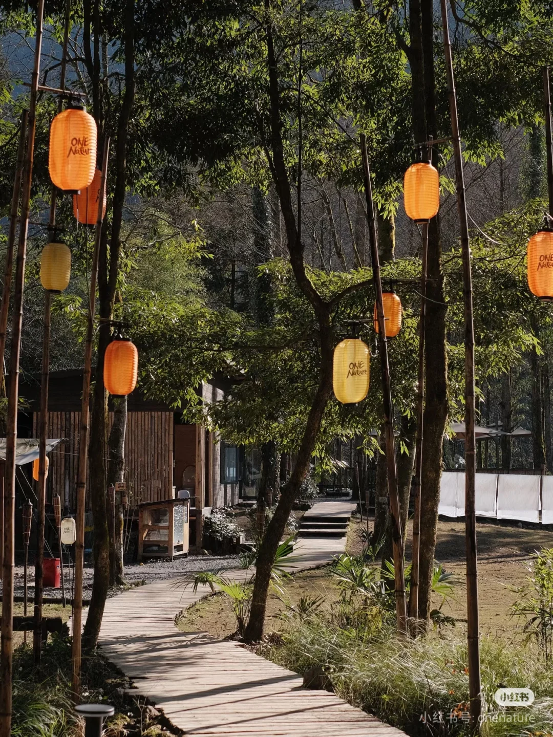 营地实习管家/义工招聘