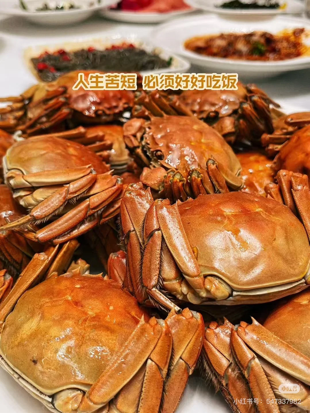 童程童美员工来！年前面试！年后入职！