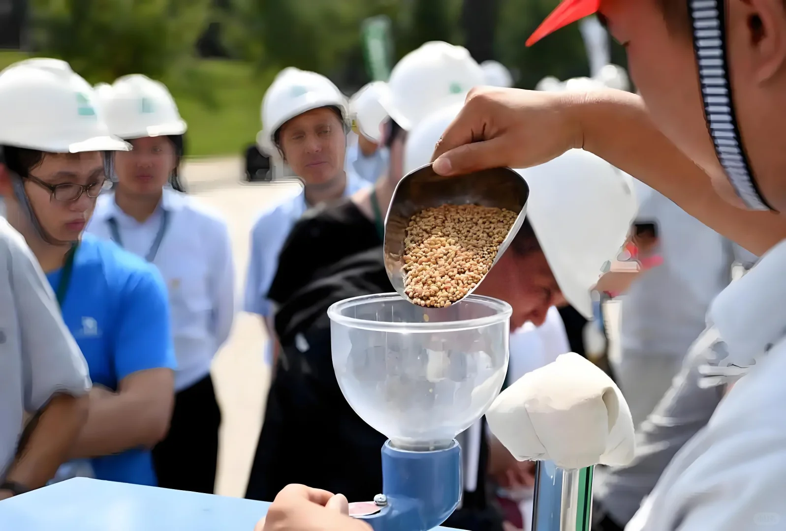 河南中储粮🌾招聘集团岗位
