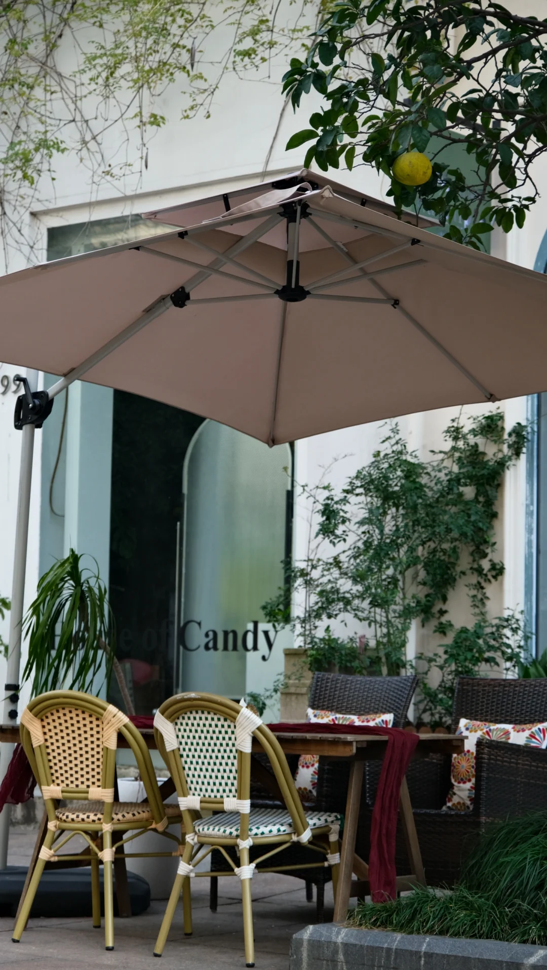 宁波 咖啡师招聘