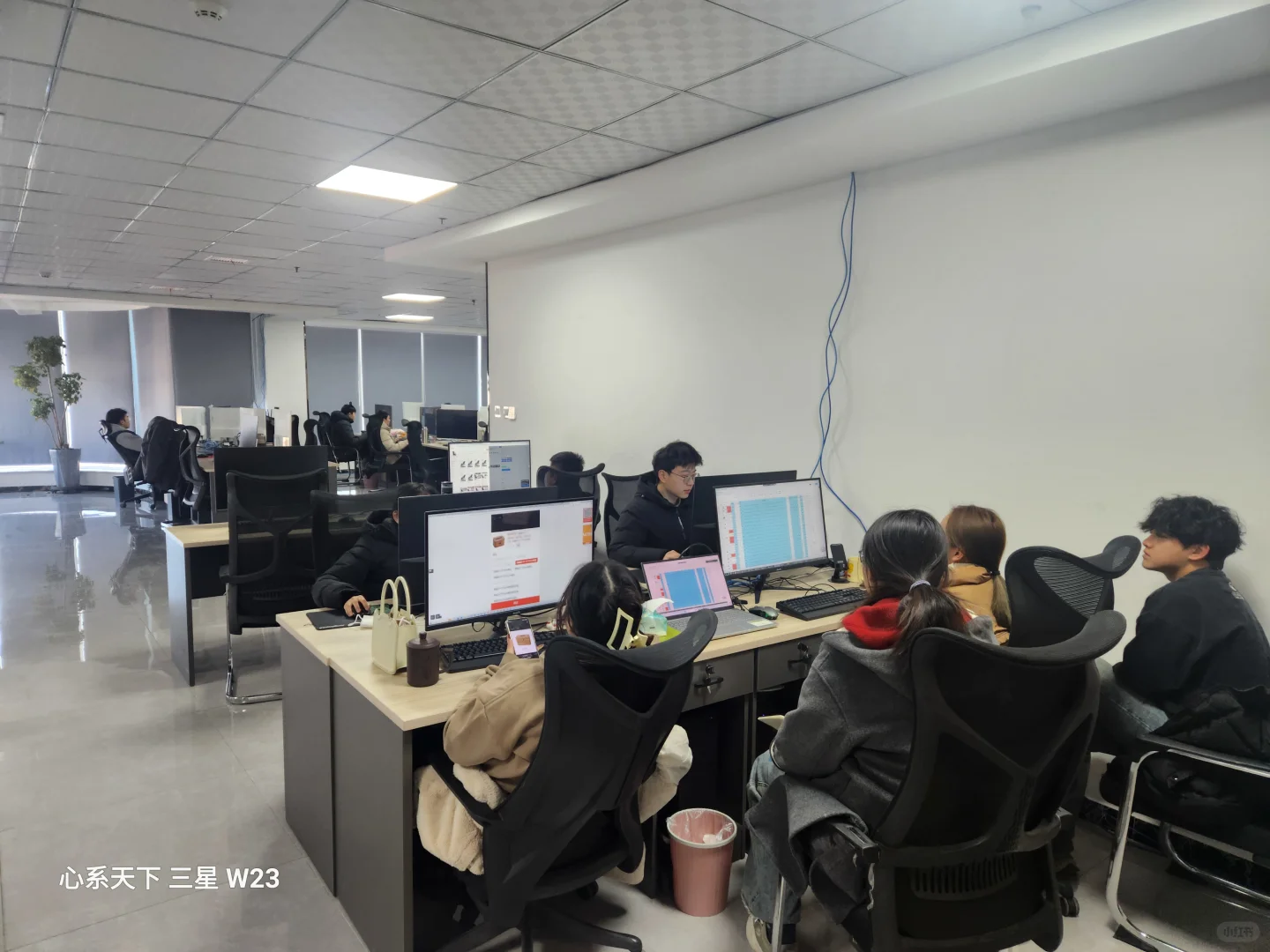 山东临沂兰山初创公司招人啦~