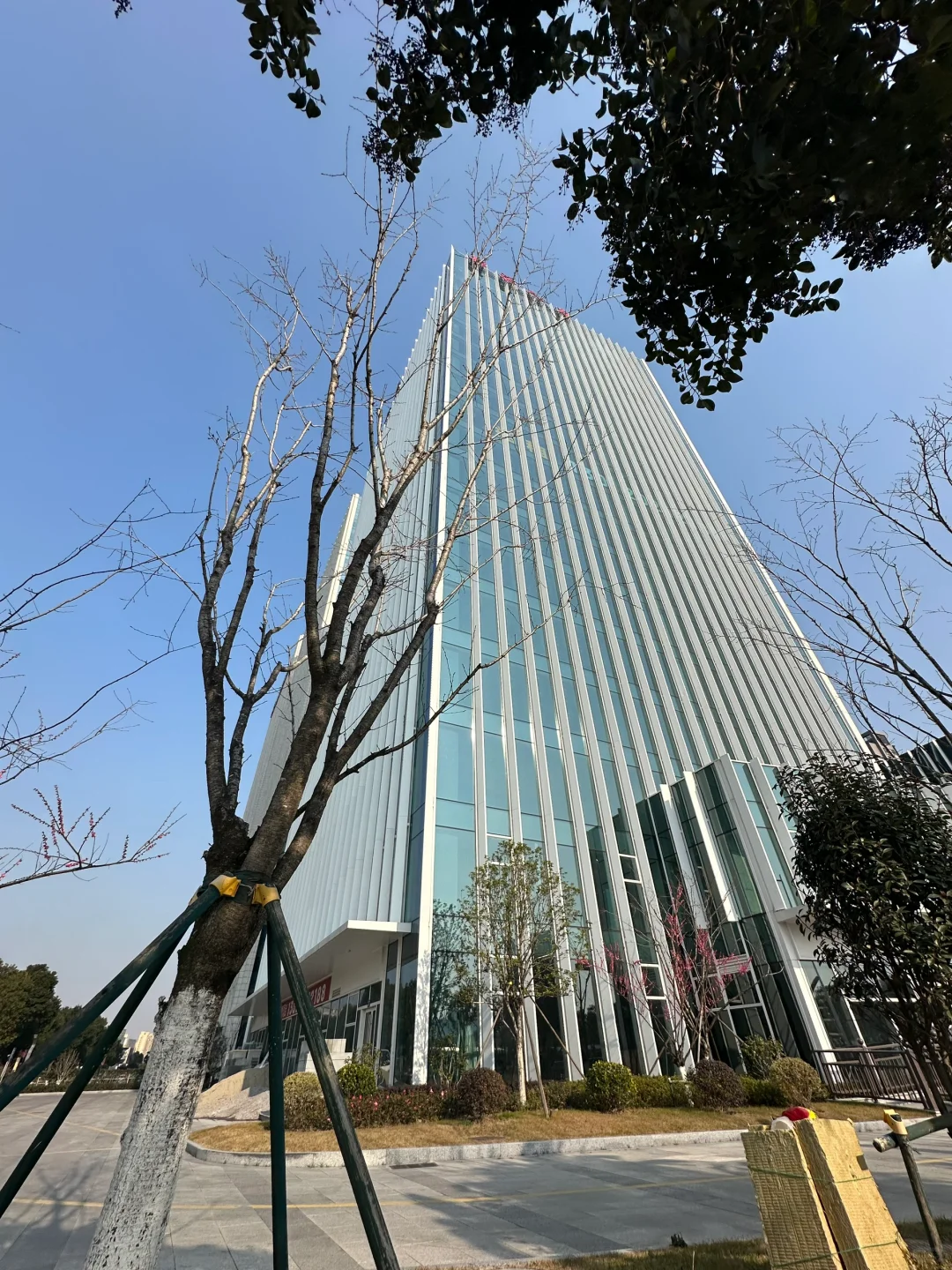 招聘专家岗位jd