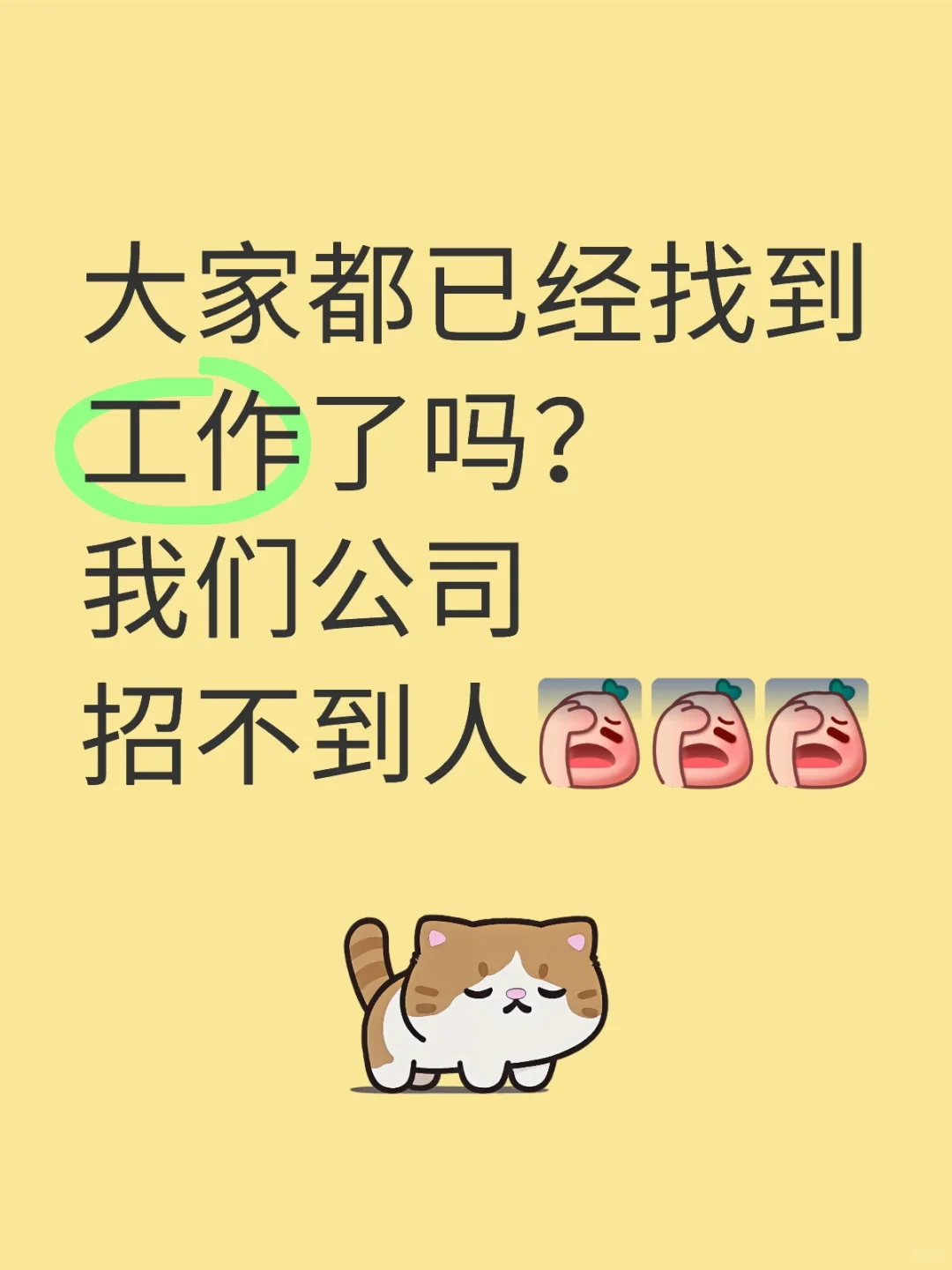 Saas ERP软件行业，销售，实施，技术支持