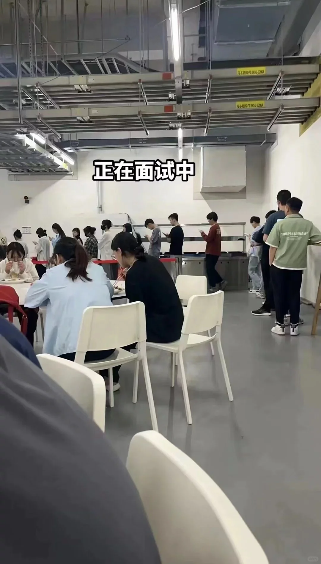 进厂打工找我好工作