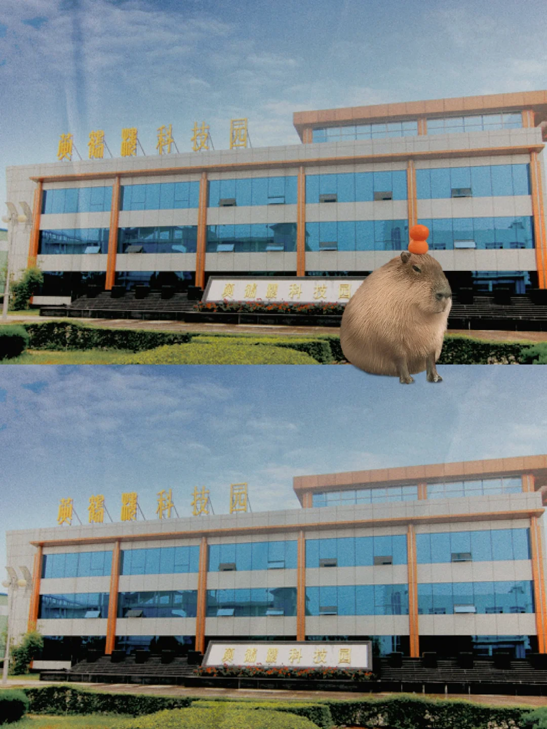 烟草二级单位，双休6K，谁来？