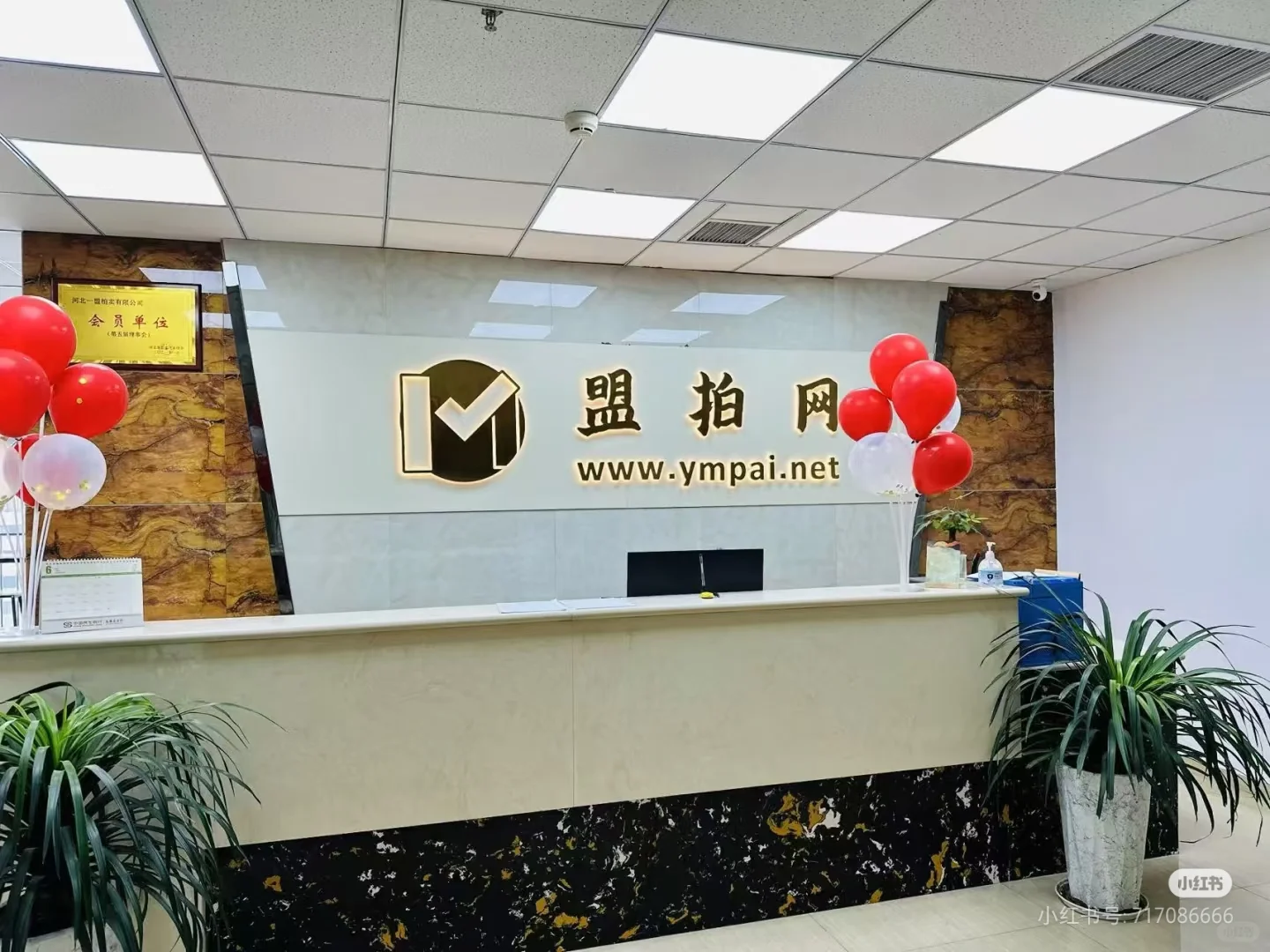 招人啦 急 急 急