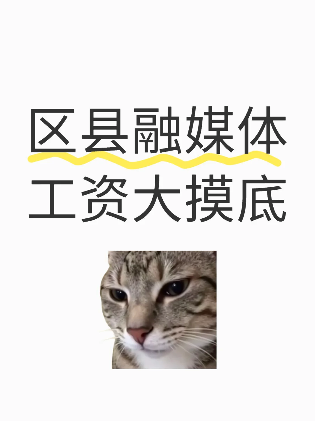 媒体薪资大摸底之区县融媒体