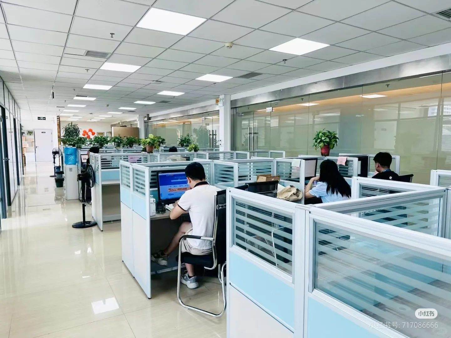 招人啦 急 急 急