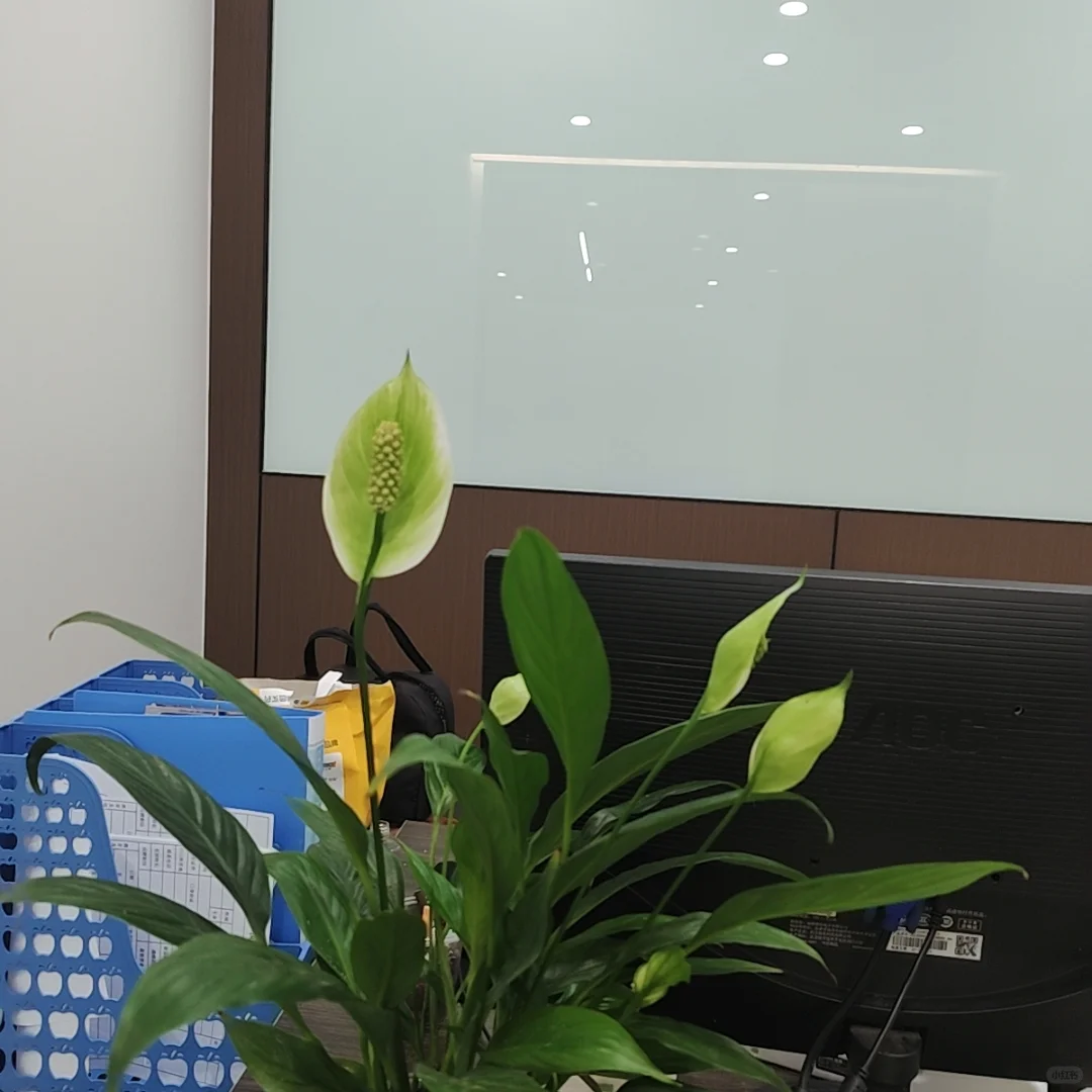 我不信7K召不到人