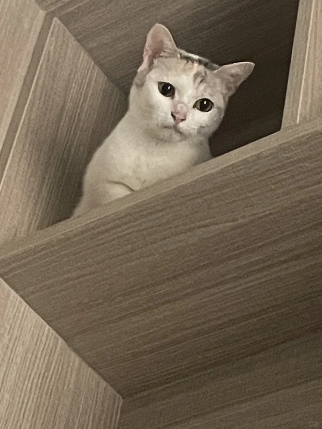 想回家进县里面的银行，这条件会不会要