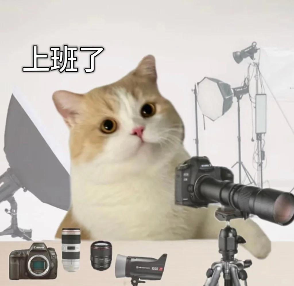 公司招聘拍摄/剪辑岗位