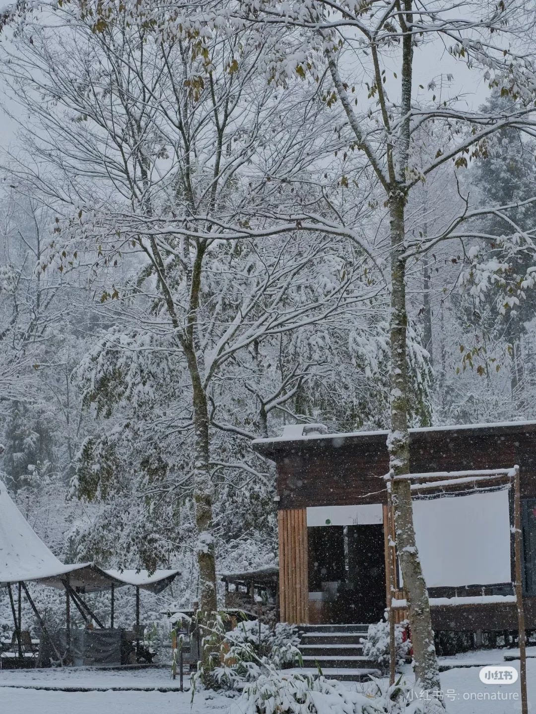 营地实习管家/义工招聘