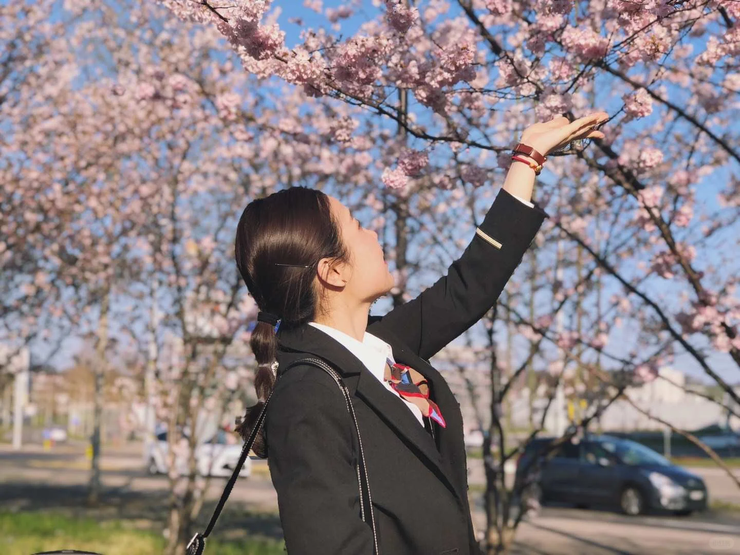 🇨🇭瑞士国际航空空乘招聘视频面试干货分享