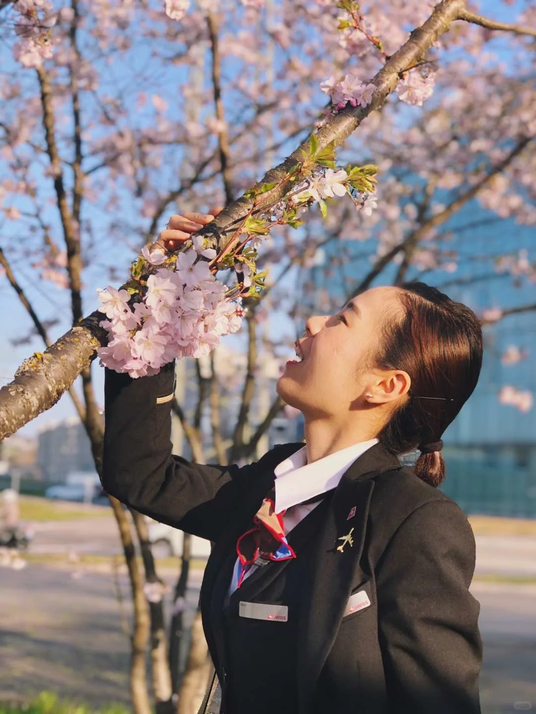 🇨🇭瑞士国际航空空乘招聘视频面试干货分享