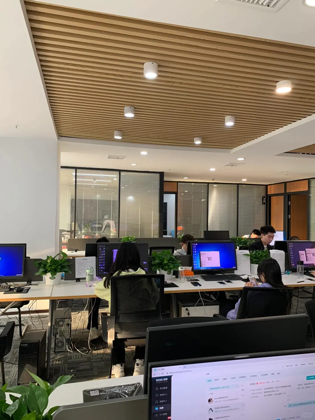 春季招聘季 春招开启梦想启航🌿🌿🌿