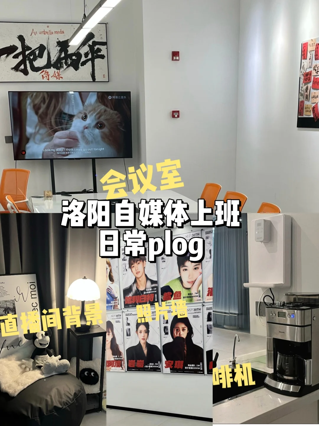 在洛阳 及养眼又能喝咖啡的公司有几家！