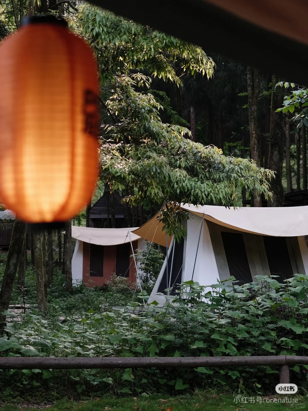 营地实习管家/义工招聘