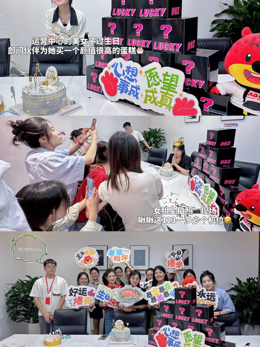 工作Plog | ☀️是热爱也是工作✨