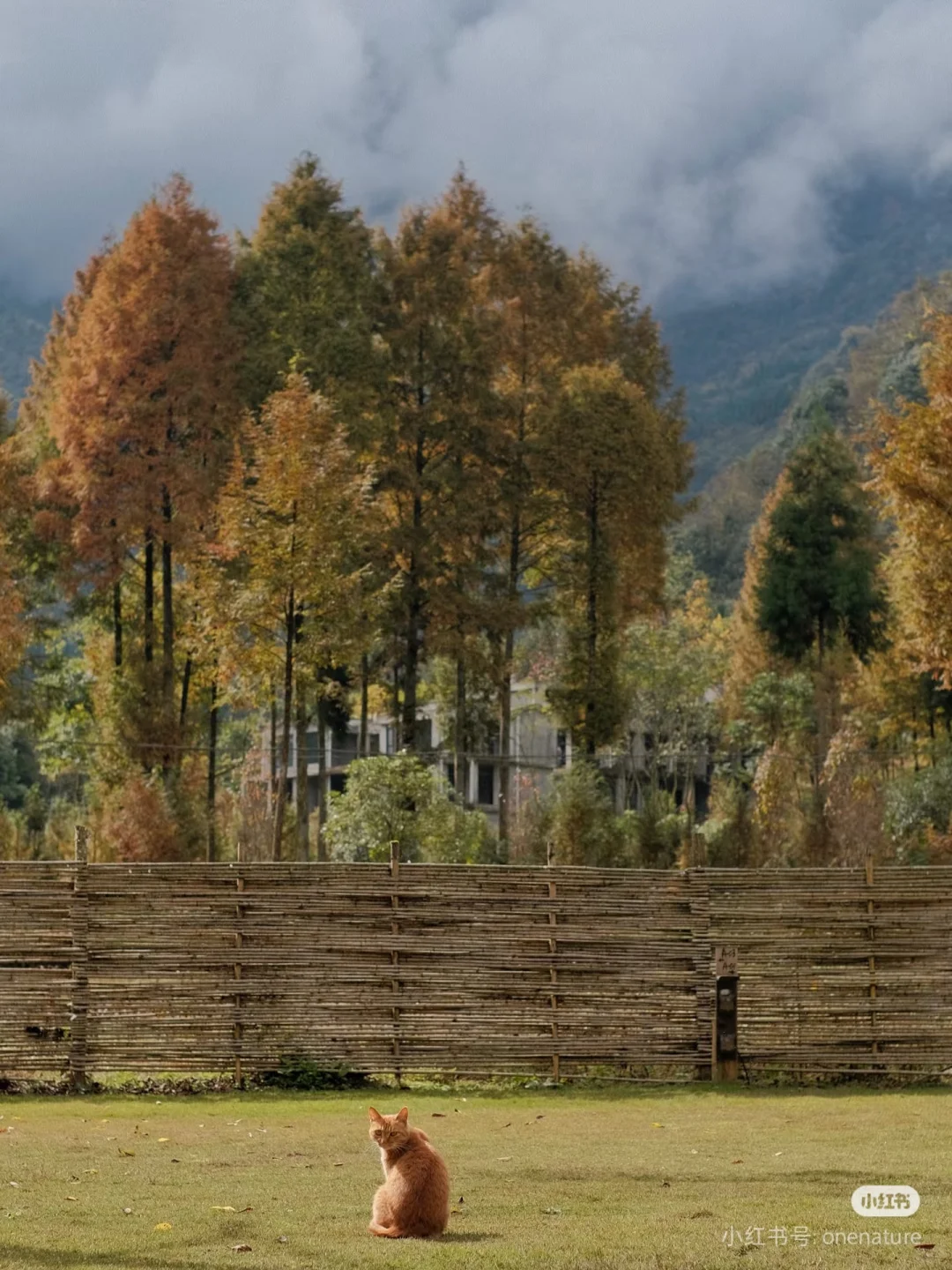 营地实习管家/义工招聘