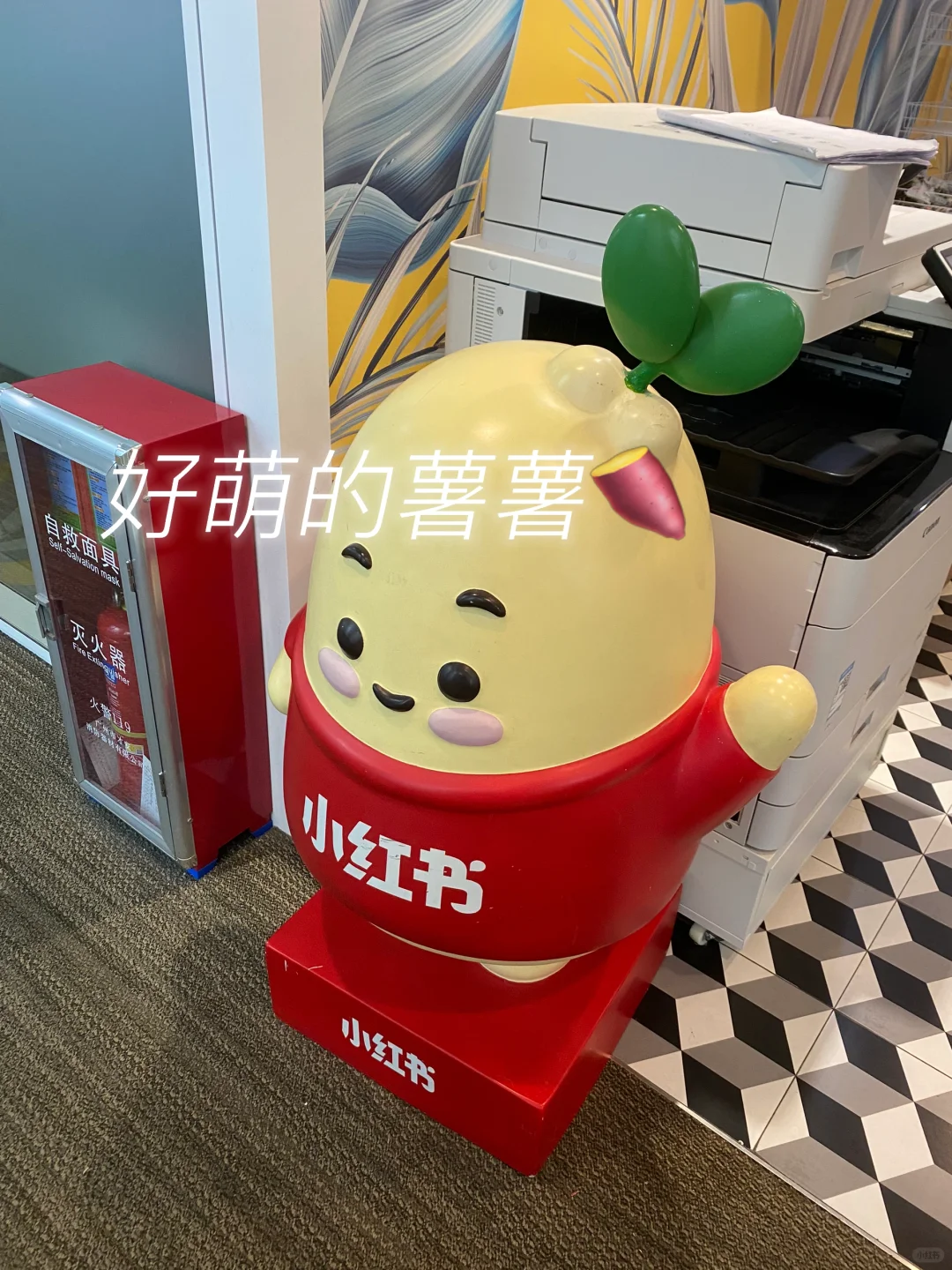 小红书实习plog｜有内推