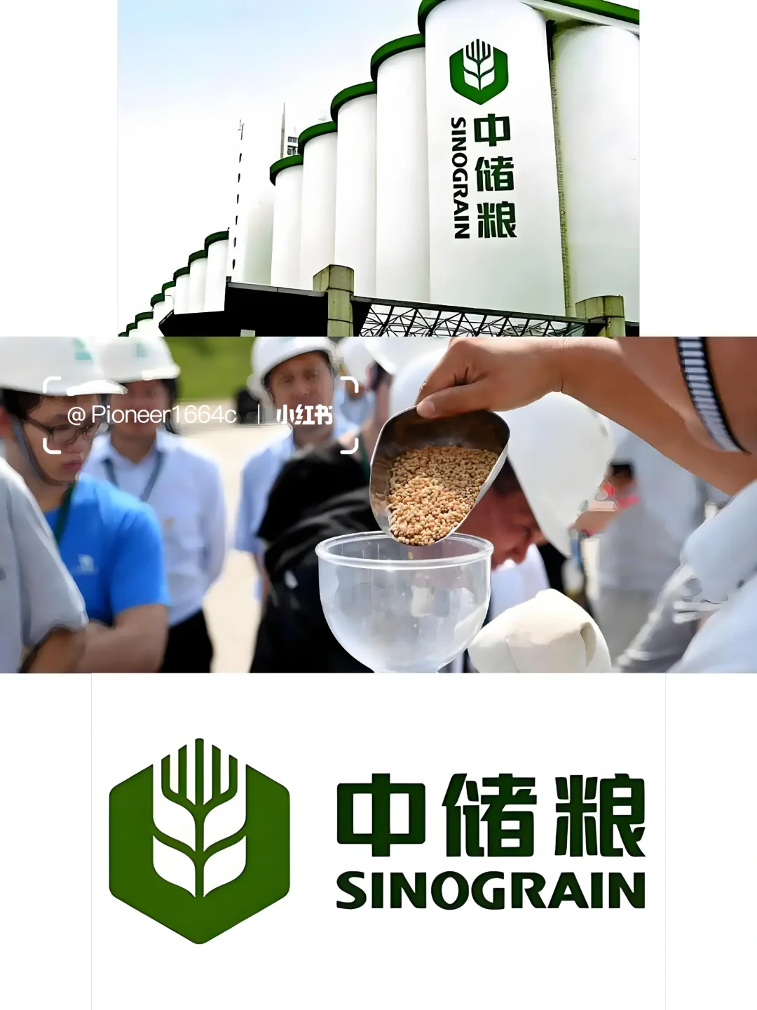 河南中储粮🌾招聘集团岗位