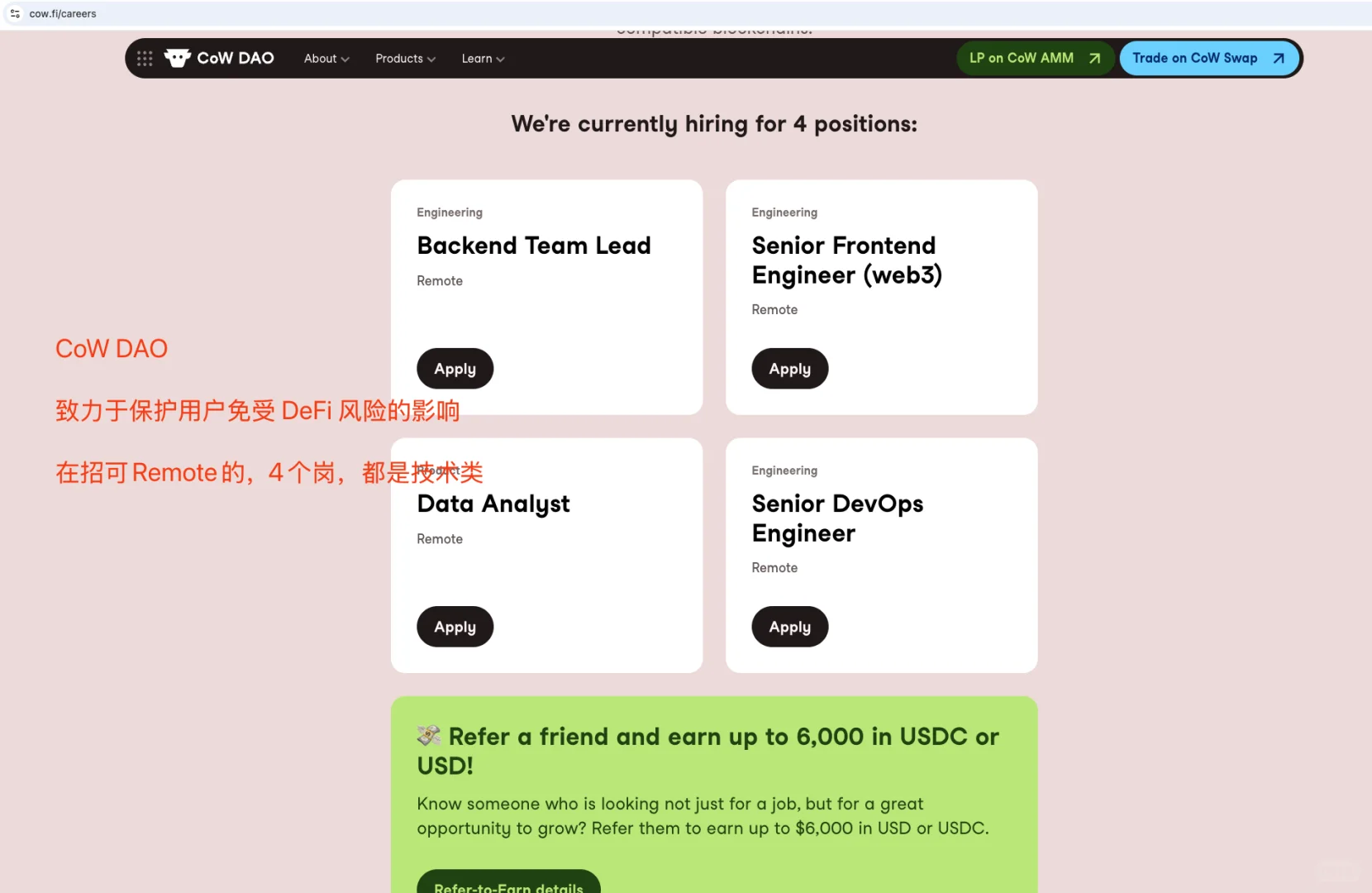 🉑Remote在家干活儿的公司及岗位(20250313)