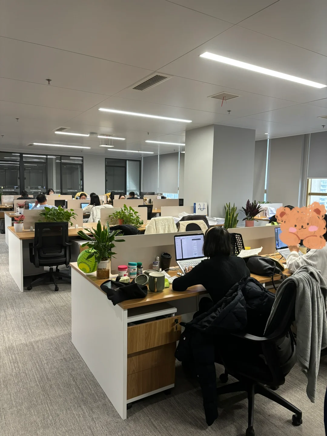 回西安了！这样安静的办公氛围你喜欢吗