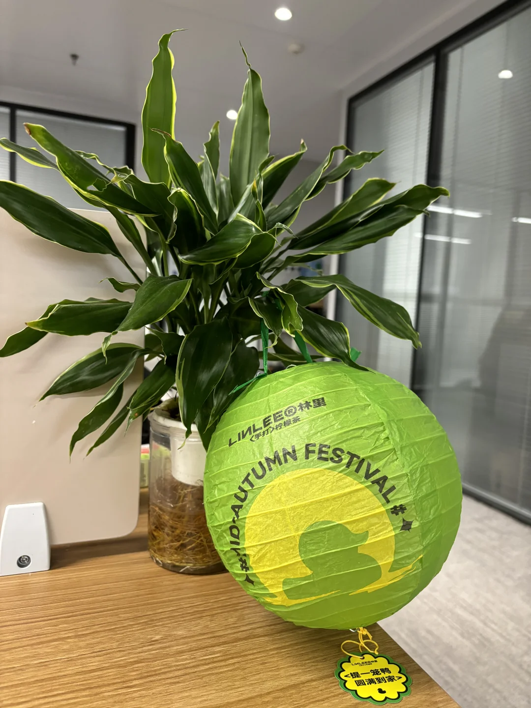 回西安了！这样安静的办公氛围你喜欢吗