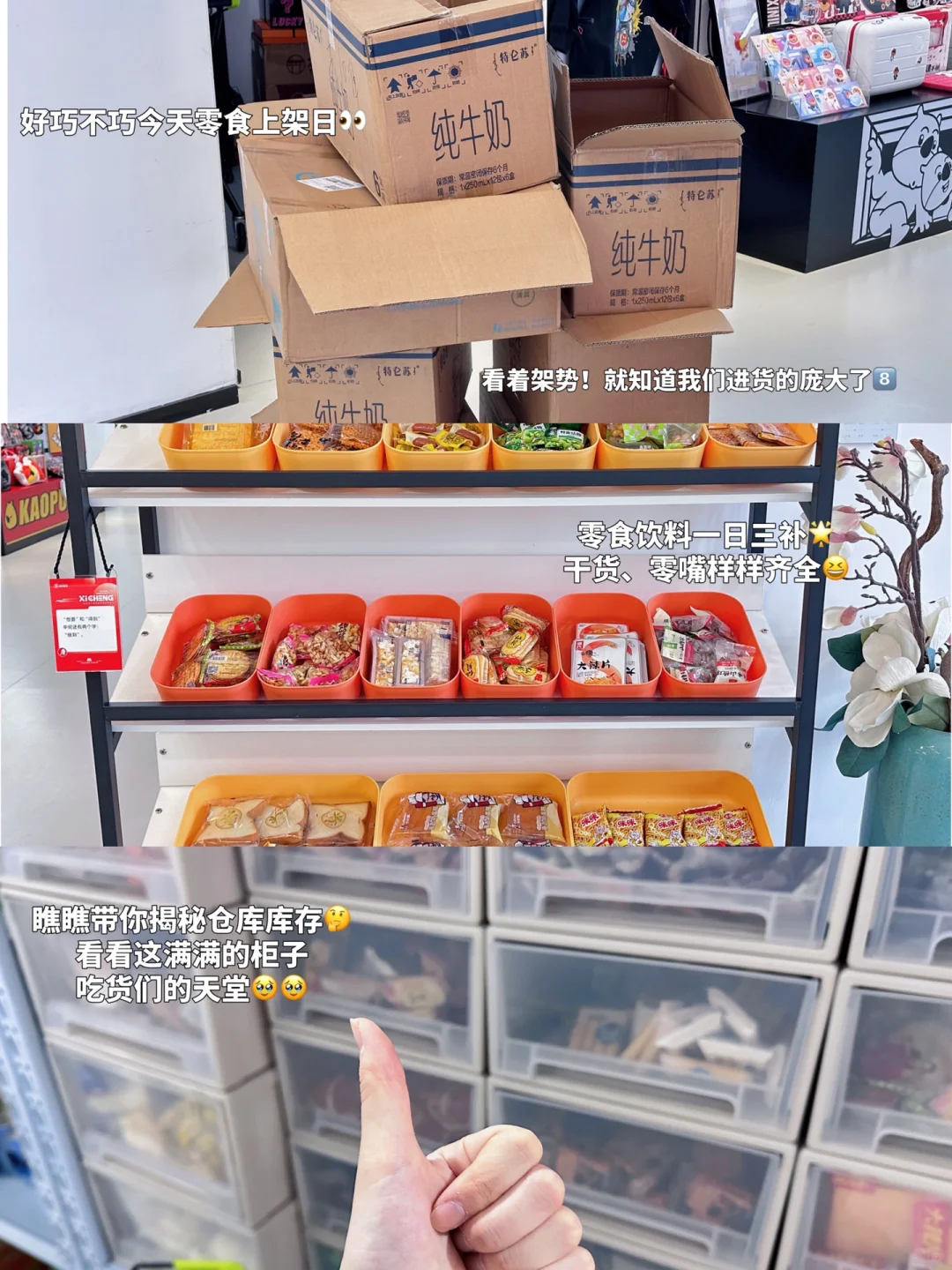 工作Plog | ☀️是热爱也是工作✨